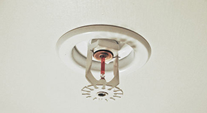 Mahal Koşulları ve Farklı Amaçlara Göre Alternatif Sprinkler Sistem Tipleri, Temel Gereklilikleri