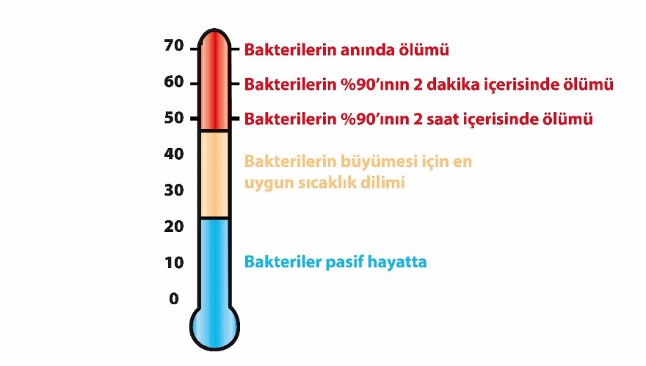 lejyonella