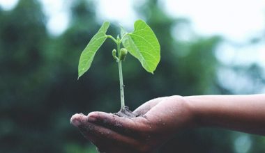 Siemens Energy ve BASF düşük karbon salınımlı üretim için güç birliği yapıyor