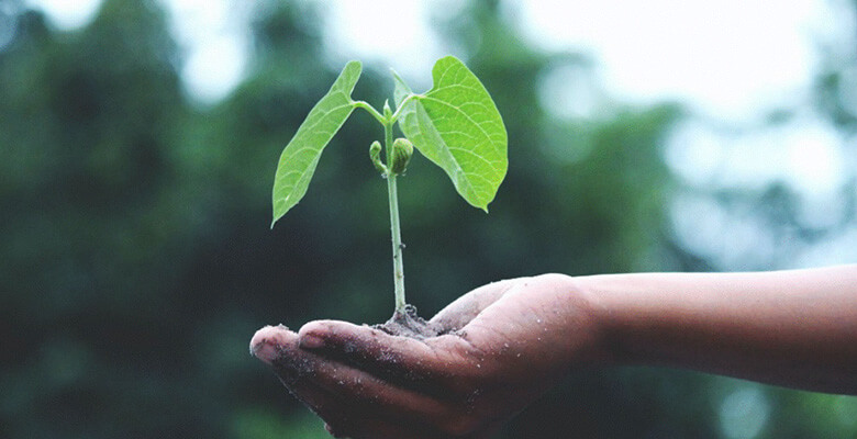 Siemens Energy ve BASF düşük karbon salınımlı üretim için güç birliği yapıyor