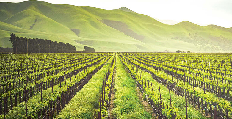 Masdaf, Akıllı Pompa Teknolojileri ile Tarım Arazilerinde Verimliliği Artırıyor!