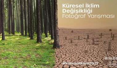 Alarko Carrier’ın Düzenlediği “Küresel İklim Değişikliği Fotoğraf Yarışması” Kazananları Belirlendi