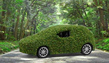 DAIKIN TÜRKİYE, TAŞIT FİLOSUNUN KARBON AYAK İZİNİ AĞAÇ DİKEREK BERTARAF EDİYOR