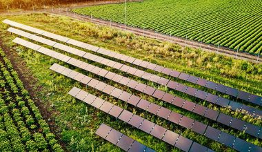 Sürdürülebilirlik ve İklim Lideri Wilo’ya Ege Orman Vakfı’ndan Gold Standart VER Sertifikası