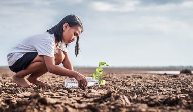 İklim Değişikliğine Dirençli Kentler için Öneriler