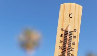 Kavurucu Sıcaklar Geldi Sıcak Çarpmalarına Dikkat! Hipertermi Ateş ile Karıştırılmamalı!